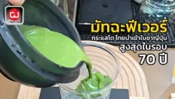 มัทฉะฟีเวอร์ กระแสโต ไทยนำเข้าใบชาญี่ปุ่นสูงสุดในรอบ 70 ปี : ผู้จัดการ 360 มัทฉะฟีเวอร์ กระแสโต ไทยนำเข้าใบชาญี่ปุ่นสูงสุดในรอบ 70 ปี : ผู้จัดการ 360