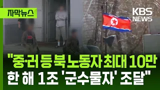[Subtitled News] "Up to 100,000 North Korean Workers Dispatched to China and Russia... Earning 1 ...