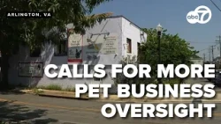 A call for more regulation of pet businesses in Northern Virginia city after abuse case