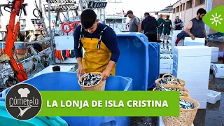 Eat It Up | How sardines, anchovies, and wedge clams arrive at the Isla Cristina fish market.