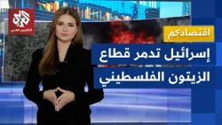 Millions of Dollars in Losses for the Palestinian Olive Sector! | Your Economy