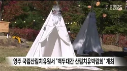 'Baekdudaegan Forest Healing Expo' Held at National Center for Forest Therapy in Yeongju