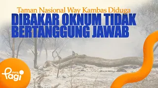 [detikPagi] - Way Kambas National Park Suspected to Have Been Set Ablaze by Irresponsible Parties