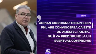 Cioroianu: O parte are convingerea că este un amestec politic. Nu îi va predispune la un compromis