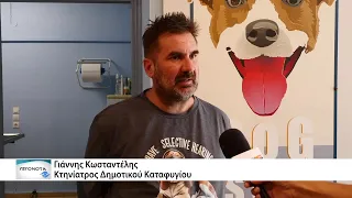 Παγκοσμια Ημέρα Σκύλου - Δίνουμε δεύτερη ευκαιρία στην αγάπη υιοθετώντας ένα αδεσποτο