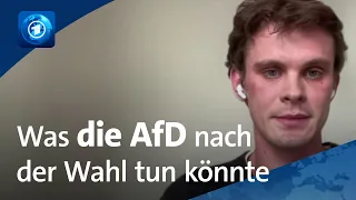Sachsen-Anhalt: Experte zu den Folgen einer möglichen AfD-Regierung