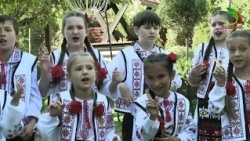 A.E.F. Jon Furnică Fil. Manta CRCC Universul - Cover - Fir ar mama ei de viață