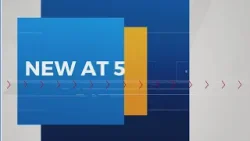 Drivers may now qualify for a new car loan interest tax break Drivers may now qualify for a new car loan interest tax break