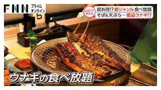 絶品うなぎも超お得!?新ジャンル食べ放題【しらべてみたら】