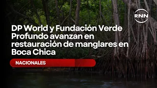 DP World and Verde Profundo Foundation advance mangrove restoration in Boca Chica