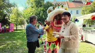 Building bridges for 20 years: Confucius Institute Vienna celebrates anniversary