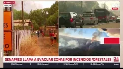 Incendios forestales afectan a sectores de Ñuble y Bío Bío