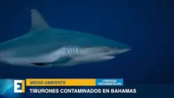 INFORMATIVO TLT - 23 DE MARZO DEL 2026