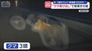 New Car Totaled After Bear Collision: Three Bears Involved, 1.5 Million Yen in Repairs [Super J C...