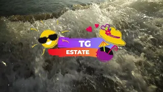 TG Estate del 13/08/2026