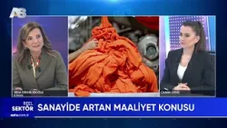 REEL SEKTÖR / İŞ KADINI VEDA GİRGİN EROĞLU / AS TV