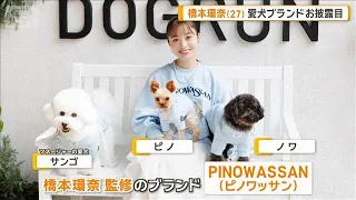 橋本環奈、愛犬ブランドお披露目　ドッグウェアを爆買い「何かかぶせたくなっちゃう」【グッド！モーニング】(2026年9月18日)