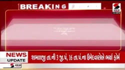 Bharuch | ભરૂચના નેત્રંગમાં ભાજપમાં ભડકો | Netrang | BJP | Gujarat | Local Body Election Bharuch | ભરૂચના નેત્રંગમાં ભાજપમાં ભડકો | Netrang | BJP | Gujarat | Local Body Election
