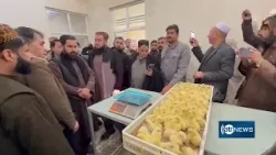 Chick hatchery begins operations in Balkh | یک کارخانه تولید چوچه مرغ در بلخ به فعالیت آغاز کرد