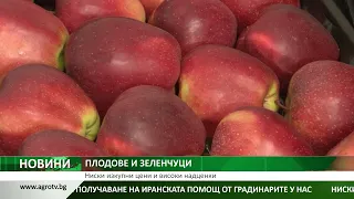 Централна емисия на АГРО ТВ: „Иранска помощ“, ниски изкупни цени и проблемите на животновъдите