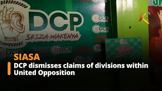 DCP dismisses claims of divisions within United Opposition