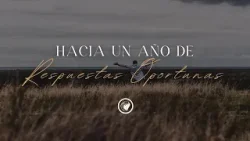 Hacia un año de Respuestas Oportunas