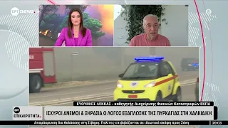 Ο Ευθύμιος Λέκκας, καθηγητής Διαχείρισης Φυσικών Καταστροφών ΕΚΠΑ, στο ΕΡΤnews