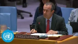 Gulf Cooperation Council: Demand to cease all attacks by Iran - Briefing | United Nations