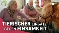 Ein ganz besonderes Pony: Käthe im Altersheim Ein ganz besonderes Pony: Käthe im Altersheim