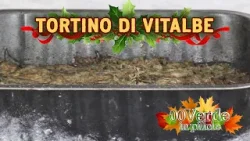 Tortino di vitalbe al forno - Ricetta per le feste da 00Verde Tortino di vitalbe al forno - Ricetta per le feste da 00Verde