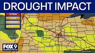 Drought impacts Minnesota summer businesses