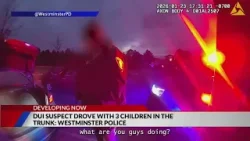 DUI suspect drove with 3 children in the trunk: Police