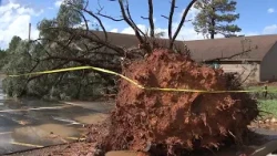 Cleanup underway after suspected tornado in Heber-Overgaard