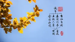 淨空老法師｜大經專修｜真正沒念頭就入定了-第2158集