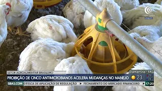 Ban on five antimicrobials accelerates changes in livestock management in Brazil