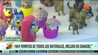 Seguimos en El Doce | Programa completo 31/7/2026