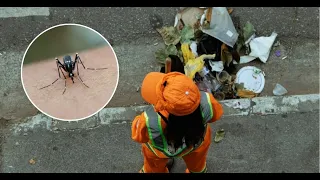 Understand the Danger of Getting Dengue Twice