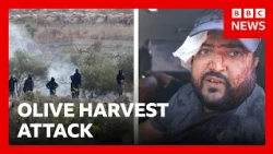 Israeli settlers attack Palestinians in West Bank during olive harvest | BBC News