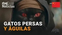 ORIENTE MEDIO | Así CUENTAN la GUERRA en CHINA | RTVE Noticias