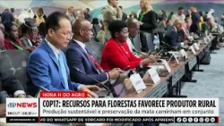 Mariana Grilli: COP17 anuncia recursos para florestas e beneficia produtores rurais