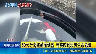 How Didn't You Feel It? 2-Foot Venomous Snake Hiding in Football Helmet, Player Wore It for a Who...