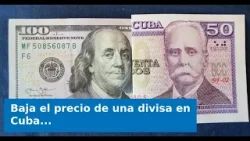 Baja el precio de una divisa en Cuba: ¿A cuánto se venden hoy dólares, euros y MLC? Baja el precio de una divisa en Cuba: ¿A cuánto se venden hoy dólares, euros y MLC?