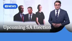 Could Liberals be wiped out in the SA election? | ABC NEWS