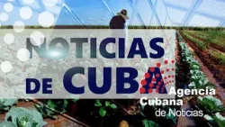 Cuba || Noticias más destacadas de esta semana.
