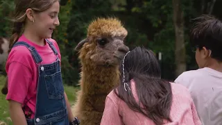 We visit Lau Vet's sanctuary: this is how her animals live | Doctor Lau Vet | Teleantioquia