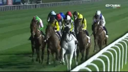 كأس دبي العالمي | الشوط السابع - دبي تيرف برعاية موانئ دبي العالمية