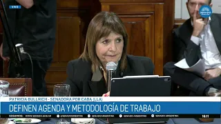 SENATOR PATRICIA BULLRICH – BICAMERAL COMMITTEE ON LEGISLATIVE PROCEDURES 09/01/26