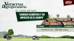 Veracruz Agropecuario - Normatividad Ambiental en la Construcción y Cambio Clímatico en el Campo