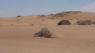 Uzbequistão: segredos do deserto, paisagens antigas e tradições vivas