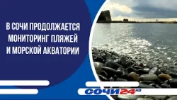Monitoring of beaches and coastal waters continues in Sochi